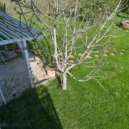 Lila Füge Apartman Daire
