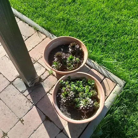 Daire Lila Füge Apartman *