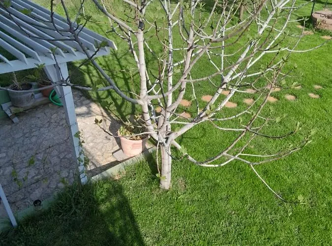 Lila Fuge Apartman Apartment