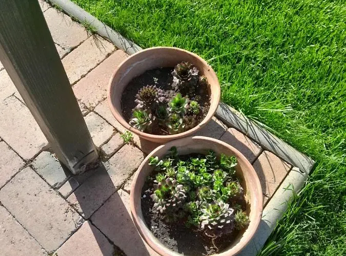 Apartment Lila Fuge Apartman *